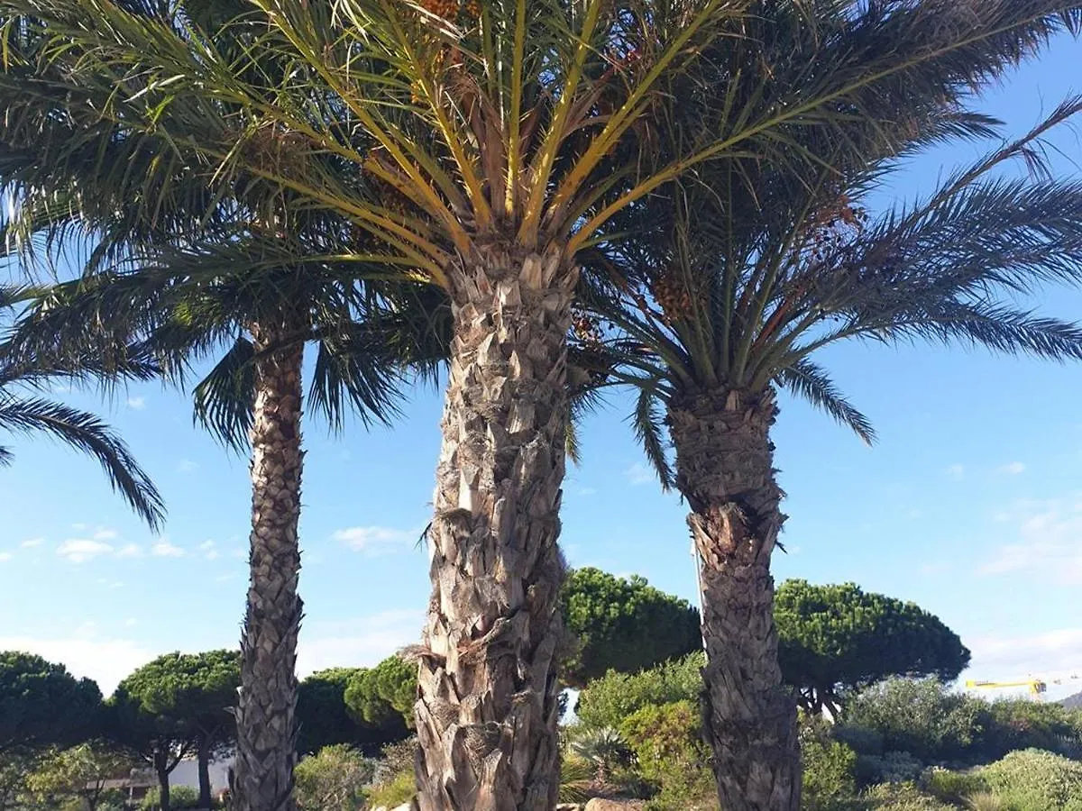 Charmant T2 A Bormes-Les-Mimosas, Proche Plage Et Commerces, Parking Inclus, Animaux Acceptes - Fr-1-610-82 公寓